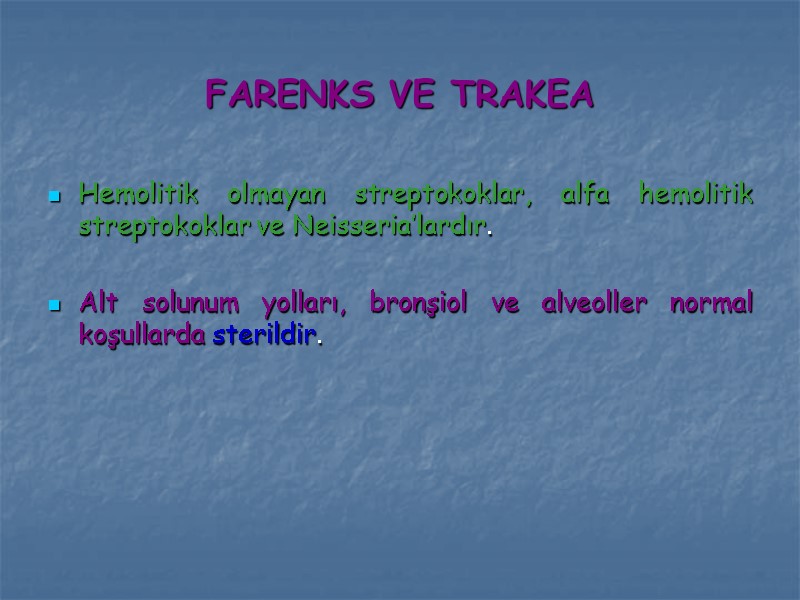 FARENKS VE TRAKEA Hemolitik olmayan streptokoklar, alfa hemolitik streptokoklar ve Neisseria’lardır.  Alt solunum